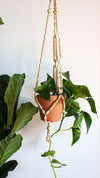 Neutral Beaded Plant Hanger (X-Large)