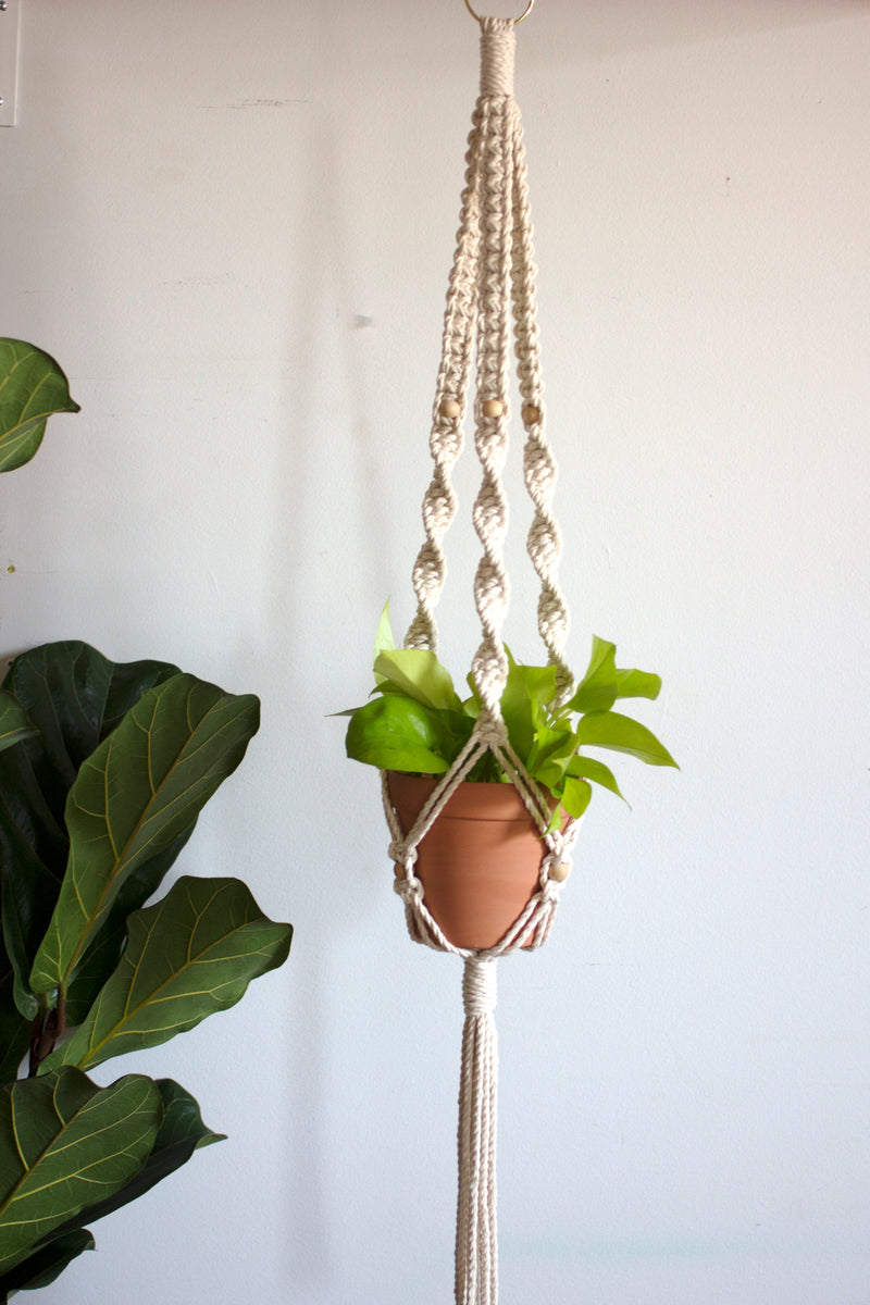 June Macrame Plant Hanger