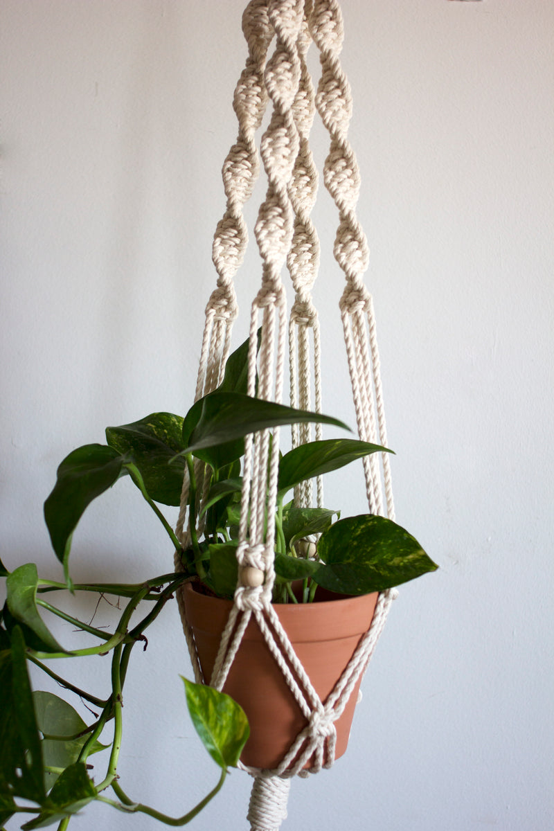 Francis Macrame Plant Hanger