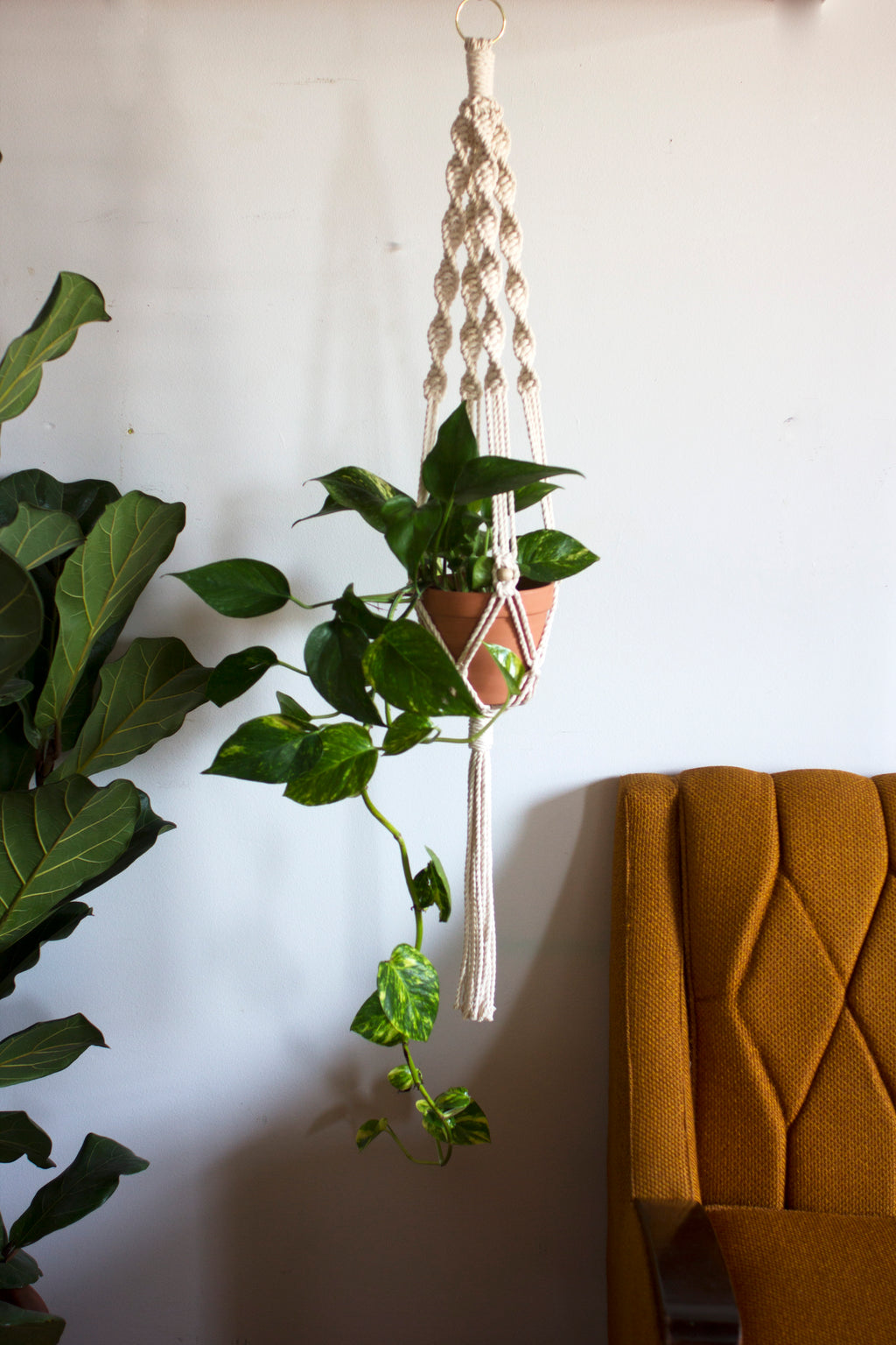 Francis Macrame Plant Hanger