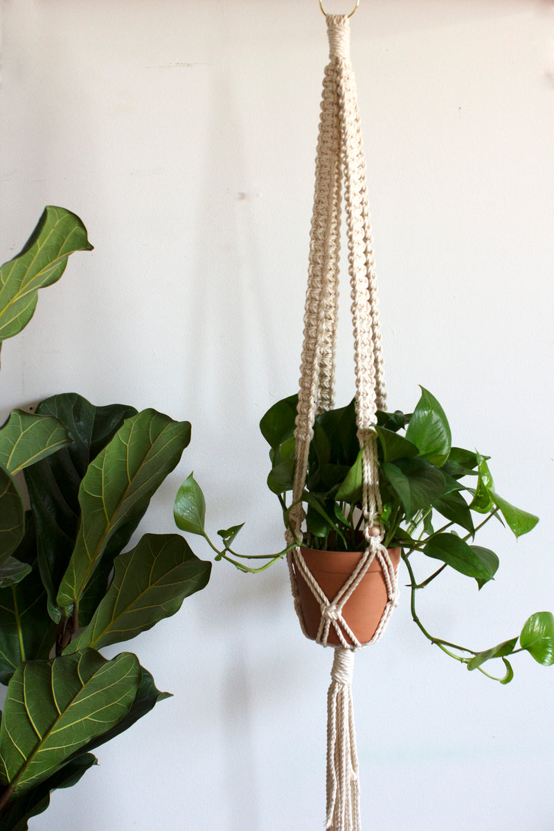 Lillian Macrame Plant Hanger